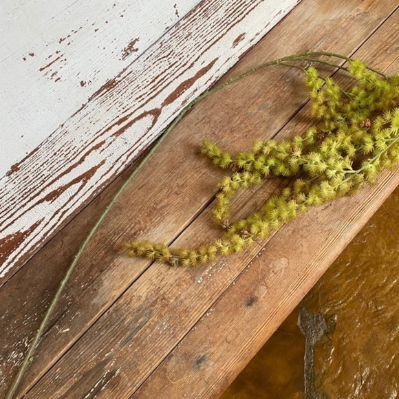 Anthropologie Terrain Trailing Succulent Spray - Picture 7 of 7